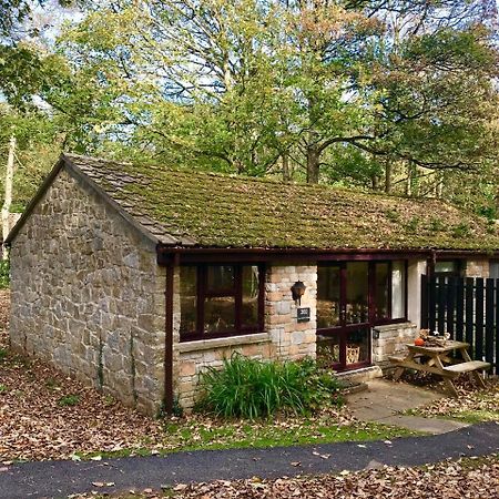Cosy Woodland Home Uny Lelant 外观 照片