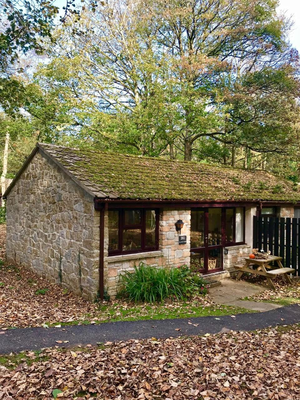 Cosy Woodland Home Uny Lelant 外观 照片