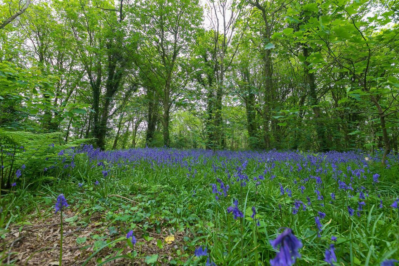 Cosy Woodland Home Uny Lelant 外观 照片