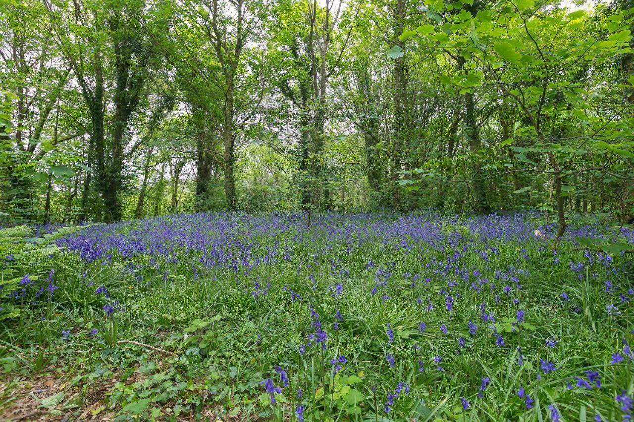 Cosy Woodland Home Uny Lelant 外观 照片