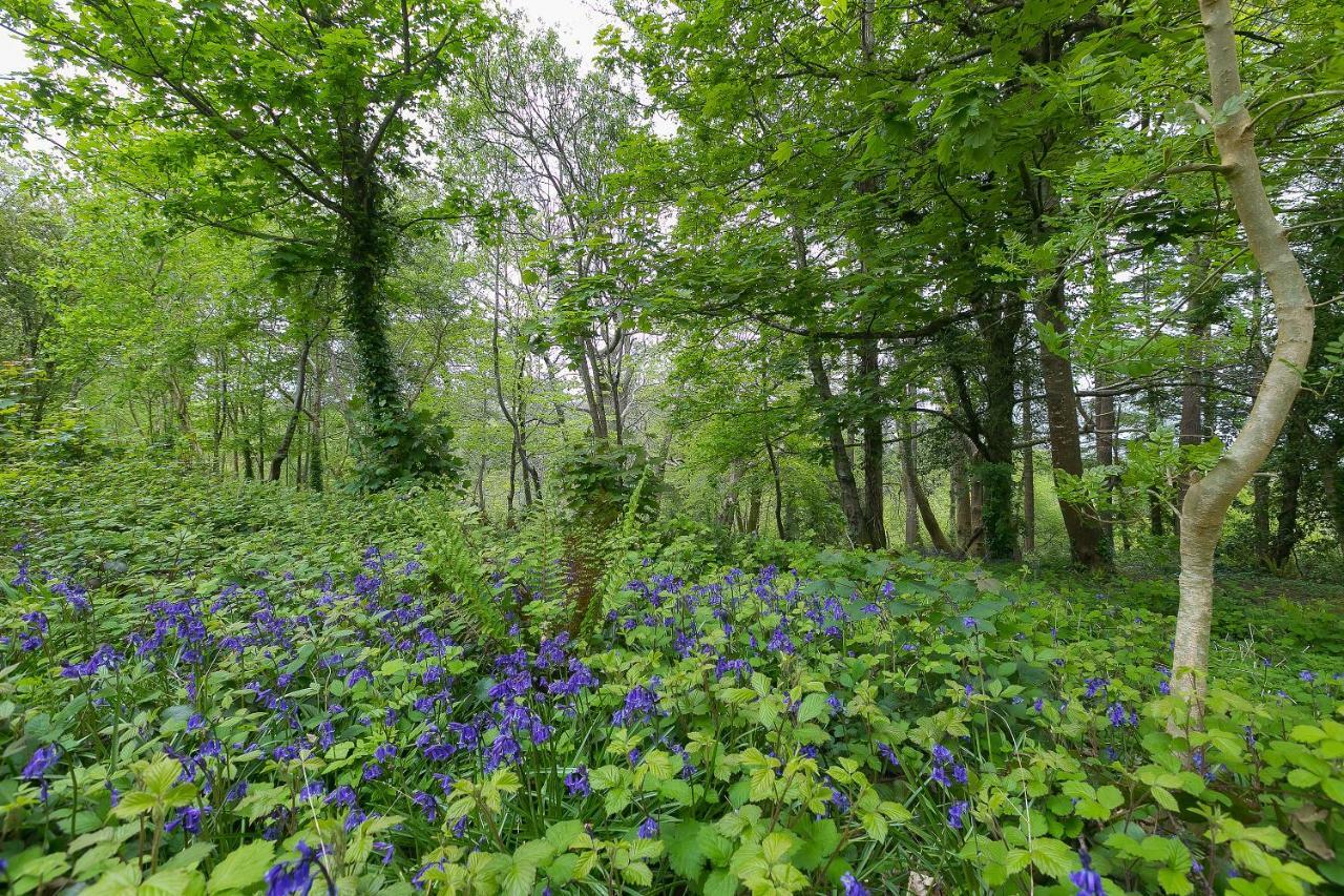 Cosy Woodland Home Uny Lelant 外观 照片